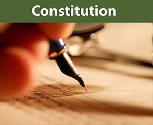 Constitution link