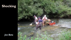 Slide7
