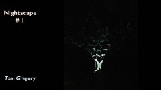 Slide14