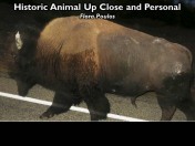 Slide147