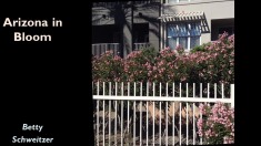 Slide56