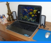 Detjen_Duke_02_Dell Recommneds Windows.jpg