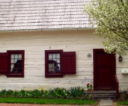 Frank_Marge_03_Door and Windows.jpg