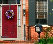 Frank_Paul_03_Pansies Annoucing Spring.jpg
