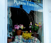 Liss_Ted_01_Flowerw Framed by a Window_DSCN1272-1.jpg