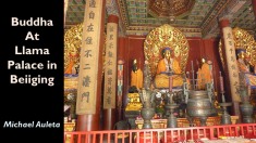 Slide3