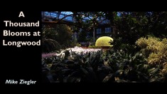 Slide53