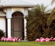 Alpaugh_Hilda_02_Long Legged Flamingos