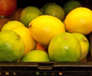 Blaise_Barbara_04_Lemons and Limes