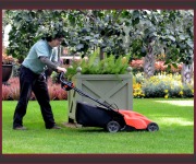 Ottenheimer_Paul_03_Little Lawn Mower (indoors at Longwood)_DSC_3251