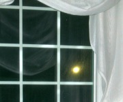Rott_Joanna_01_NOTE_A Lunar Surprise I did see ...