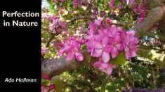 Slide14