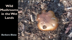 Slide4