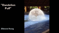Slide66