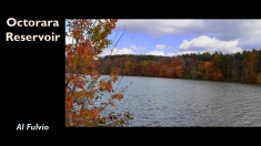 Slide14