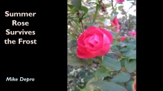 Slide8