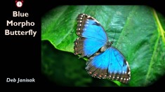 Slide30