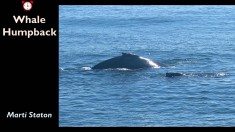 Slide48