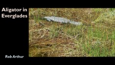 Slide15