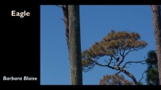 Slide4