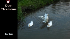 Slide105