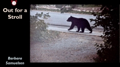Slide144