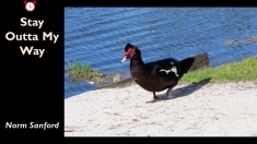 Slide146