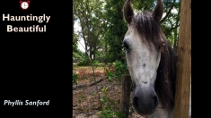 Slide148