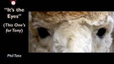 Slide165