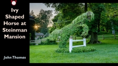 Slide168