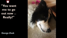 Slide189