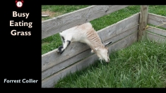 Slide37