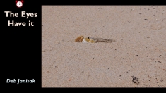 Slide88