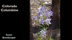 Slide12