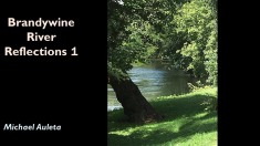Slide5