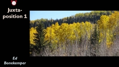 Slide8