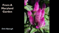 Slide2