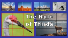 Slide1 rs