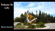 Slide17
