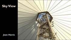 Slide19