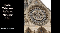 Slide29