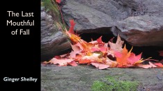 Slide42
