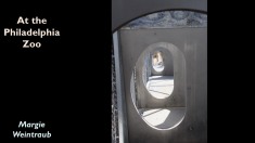 Slide47