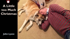 Slide25 Slide25
