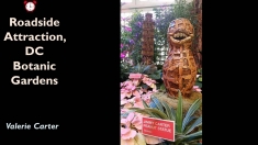 Slide7