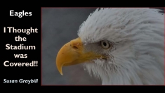 Slide18