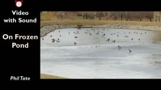 Slide37