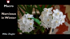 Slide38