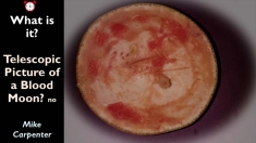 Slide6