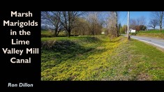 Slide10